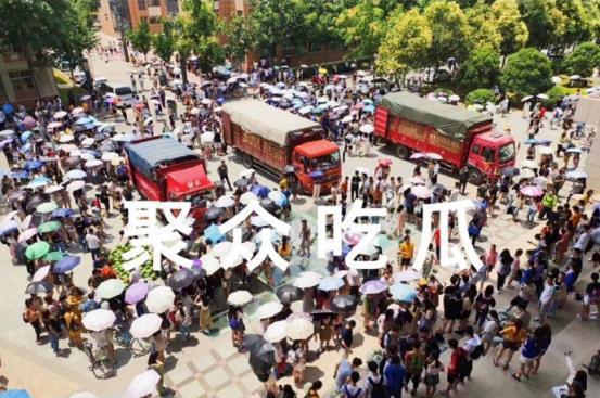 吃瓜网郑州大学,吃瓜网上的青春风采